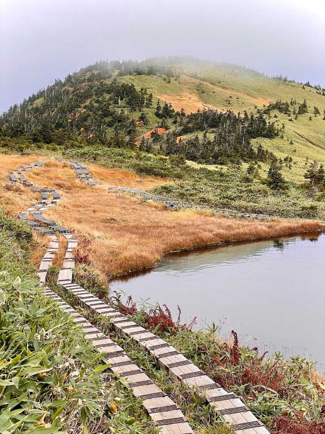 滝沢登山口-駒ノ大池-会津駒ヶ岳-中門岳 往復コースの写真
