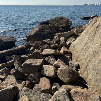 ガレガレ。浮石も多くまさに難所。