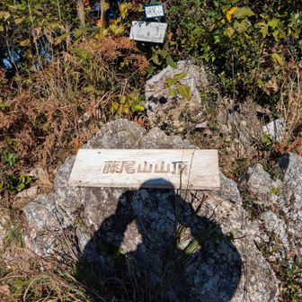 藤尾山山頂とうちやこ🙌