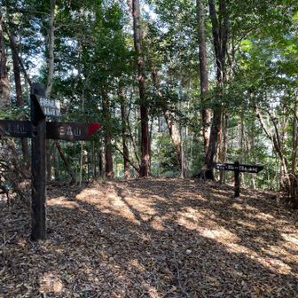 三高山に向かう