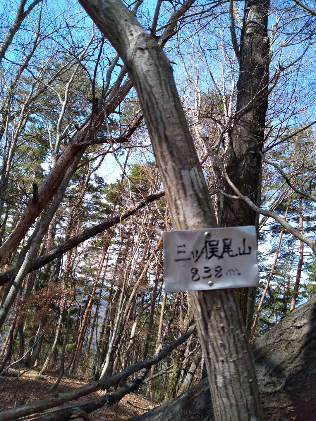 三ッ俣尾山の写真