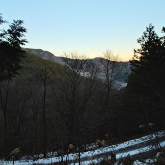 夕暮れの赤杭山山麓の採石場。眼下には西川林道。