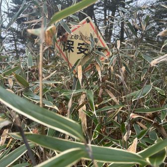 なんかのピーク　砂がついた名前