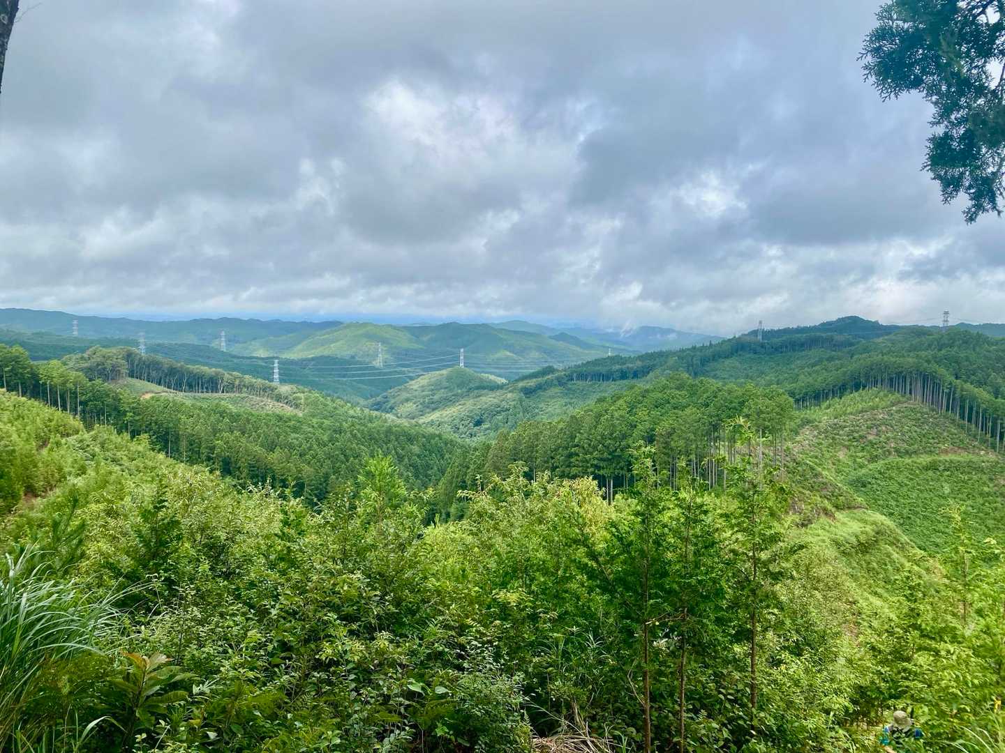 山頂からの眺望に癒されます🖼️
