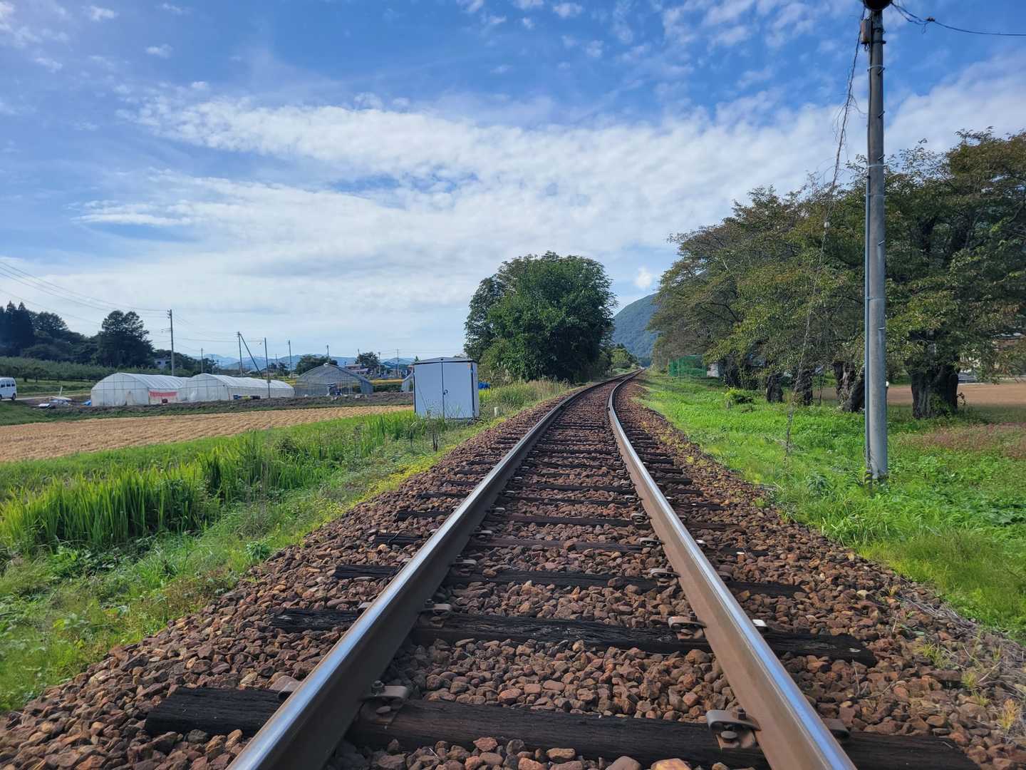 斎藤山 周回コースの写真