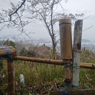 山頂広場からの眺望。130度くらいかな？
瀬戸大橋。