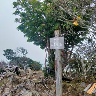 大普賢岳頂上。
ガスで何も見えない。