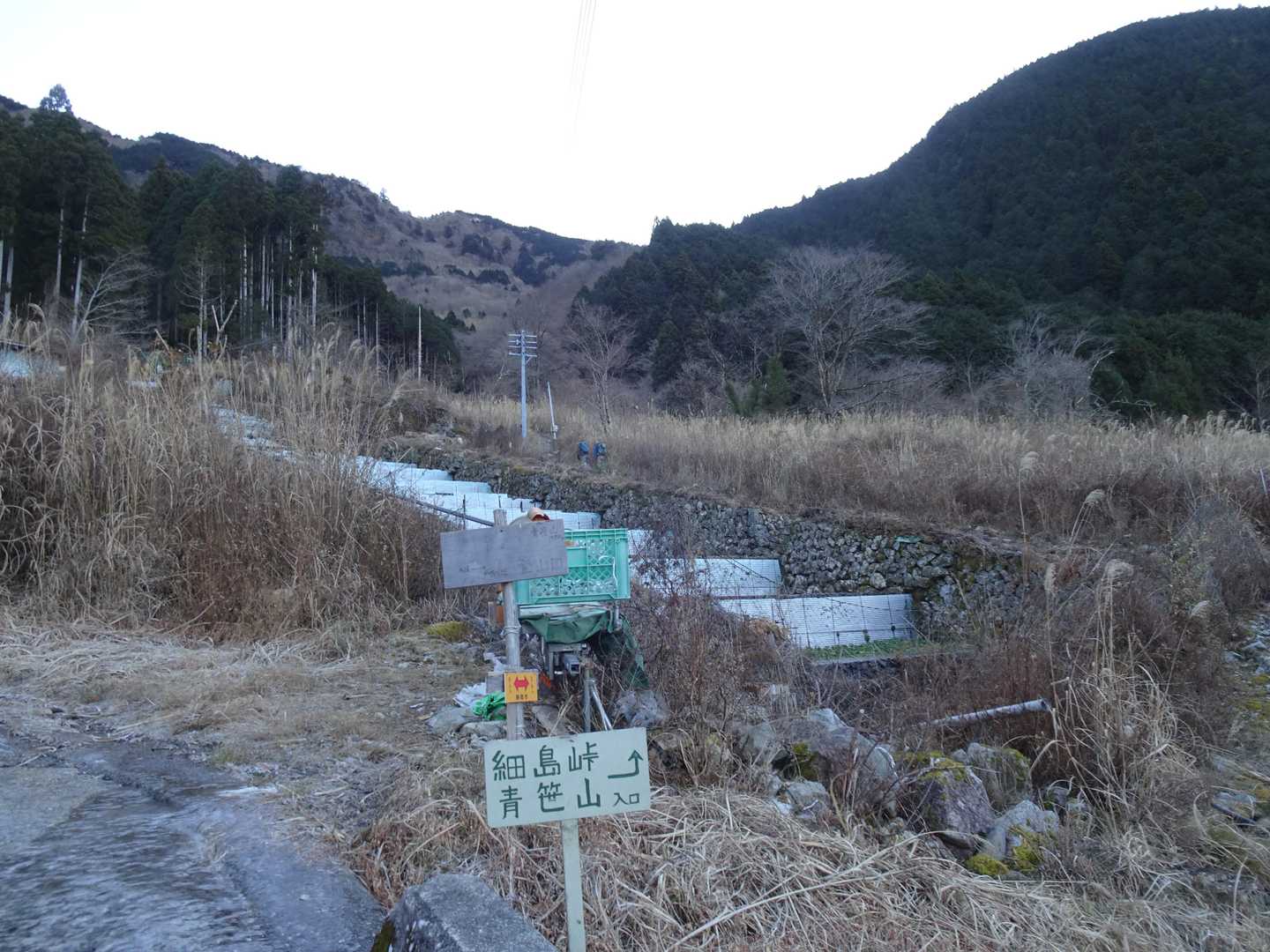 昔と比べると伐採でサッパリしました