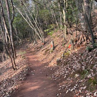 下りは、お地蔵様の道です🙏