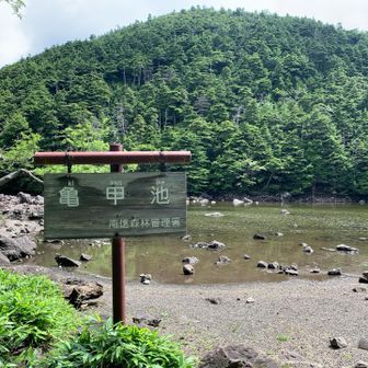 静かです