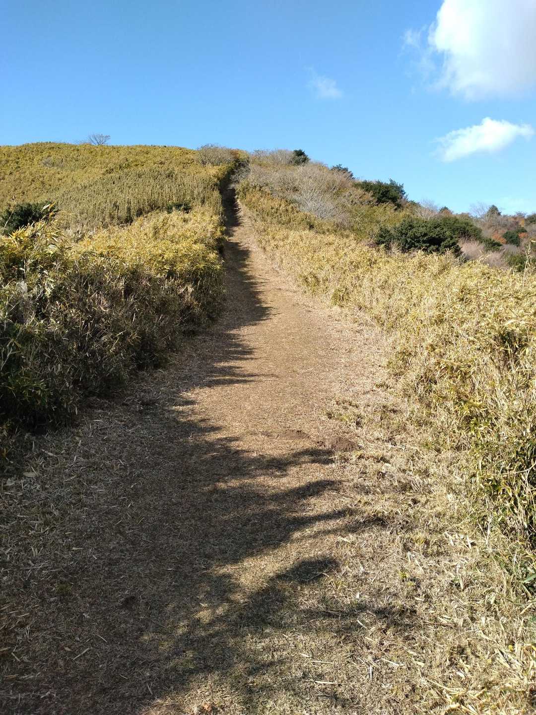 乙女峠登山口-乙女峠-丸岳-長尾峠-湖尻峠-三国山-山伏峠 縦走コースの写真