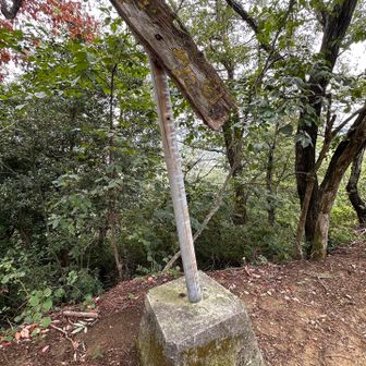 山頂この辺りかな