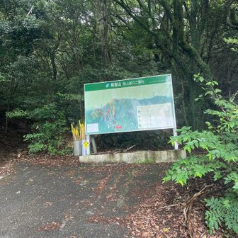 汗だくの登山でしたが、気分転換できました❣️