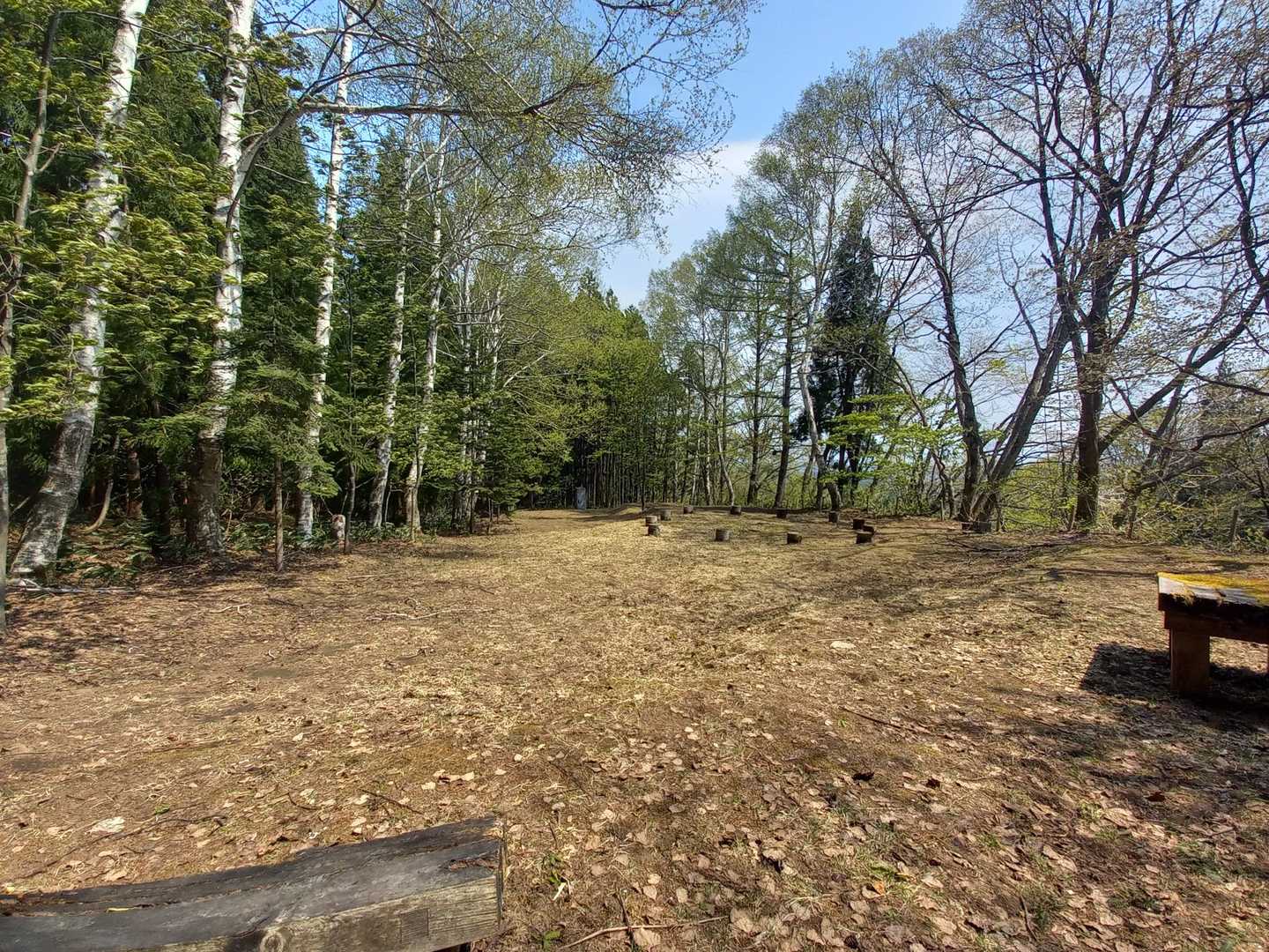 久渡寺山 往復コースの写真