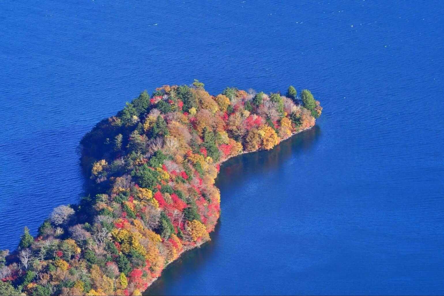半月山駐車場発着｜半月山 往復コースの写真
