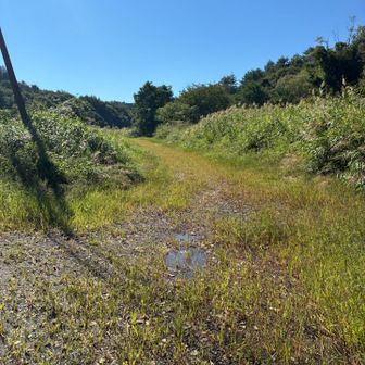 広くて走りやすそう