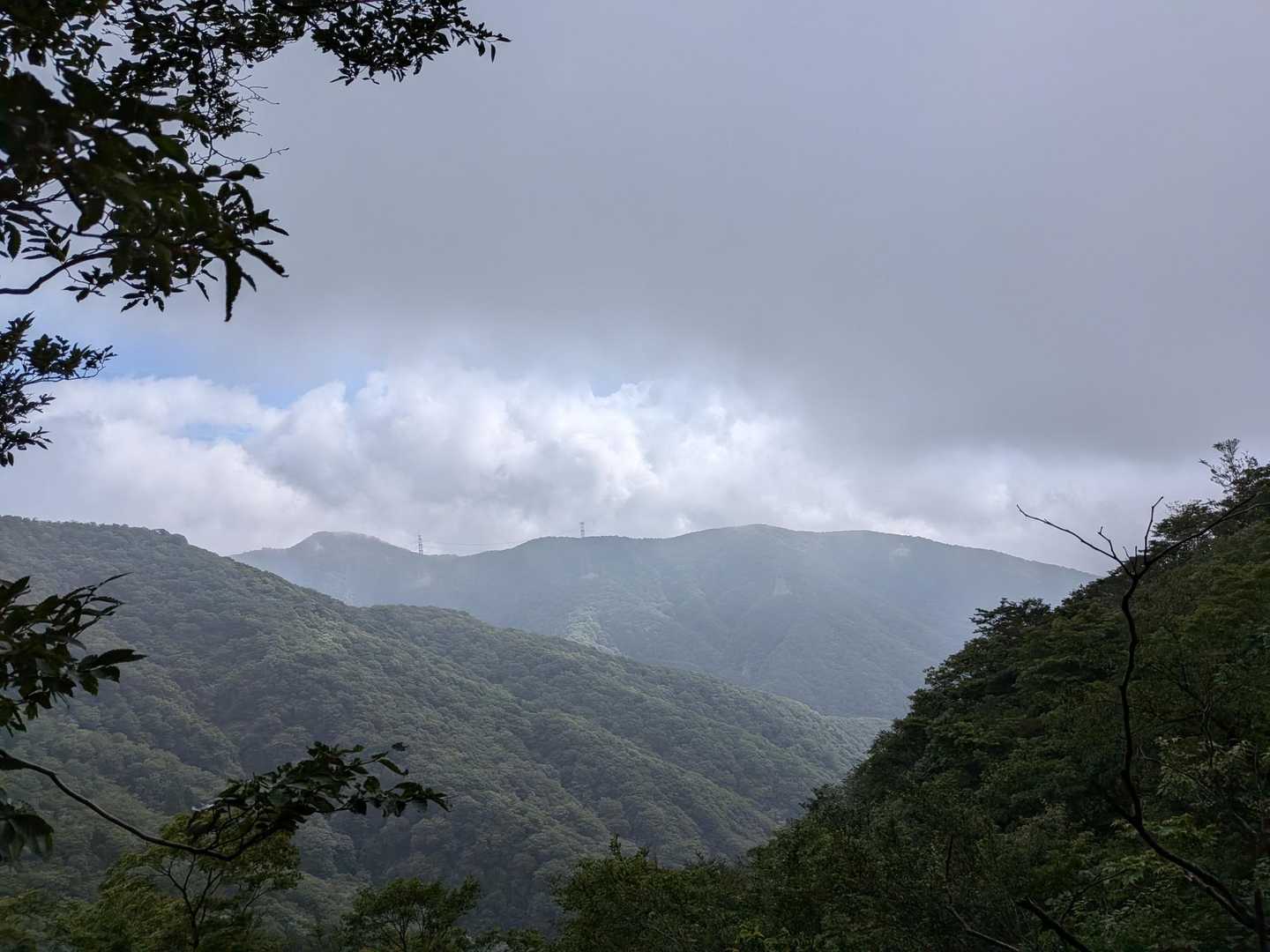 鞍掛トンネル西登山口-鞍掛峠-三国岳 往復コースの写真