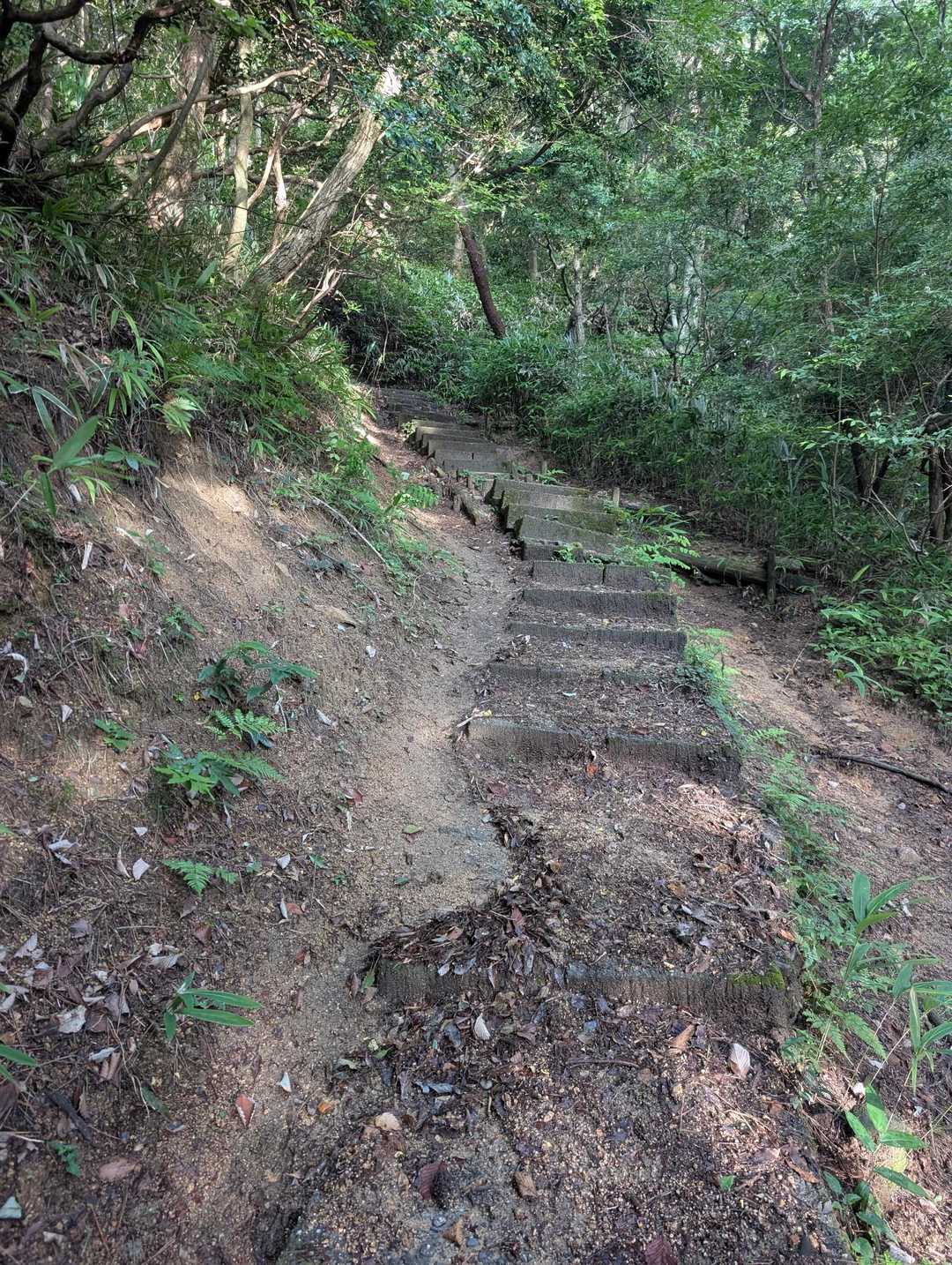 最後にもう一度階段を登る