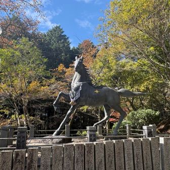 新馬🐎②