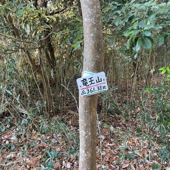 竜王山⛰️