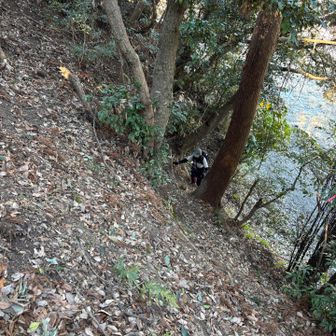 山友さんも頑張ります