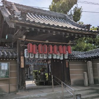ヤマップではこのお寺あたりにピークがありました。