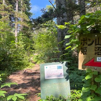 ポン山も行こうかとおもったけど
早く下山したいのでパス