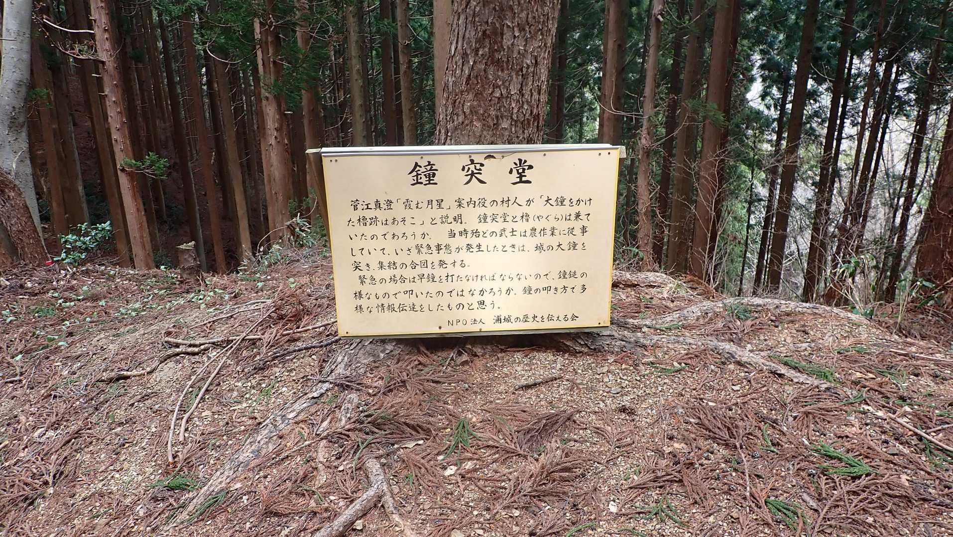 高岳山登山口-永久常夜燈-高岳山 周回コースの写真