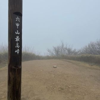 悪天の為、展望は流石にありません。
思わず「六甲颪」を口ずさんでしまう(笑)。