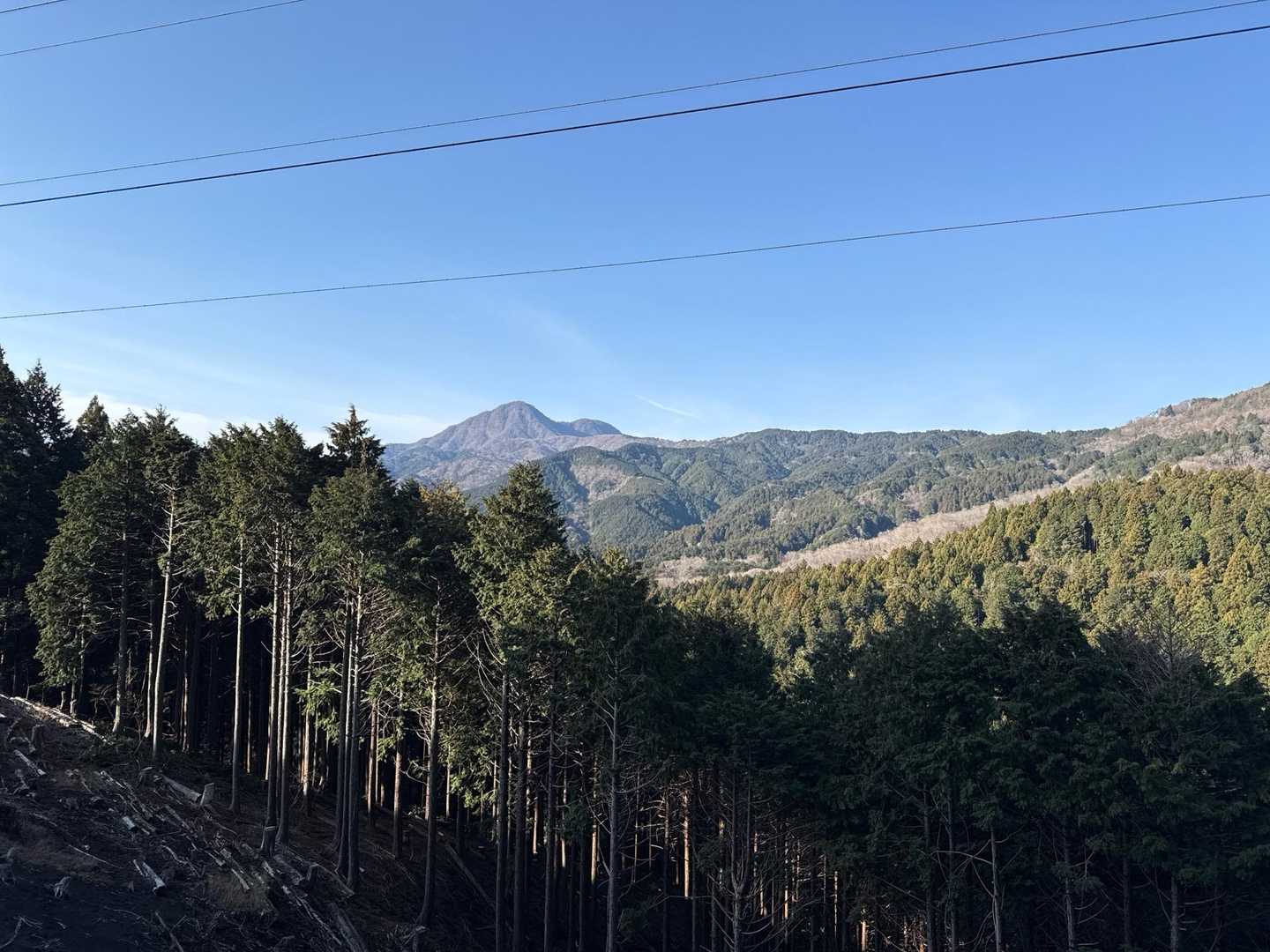 金時山。