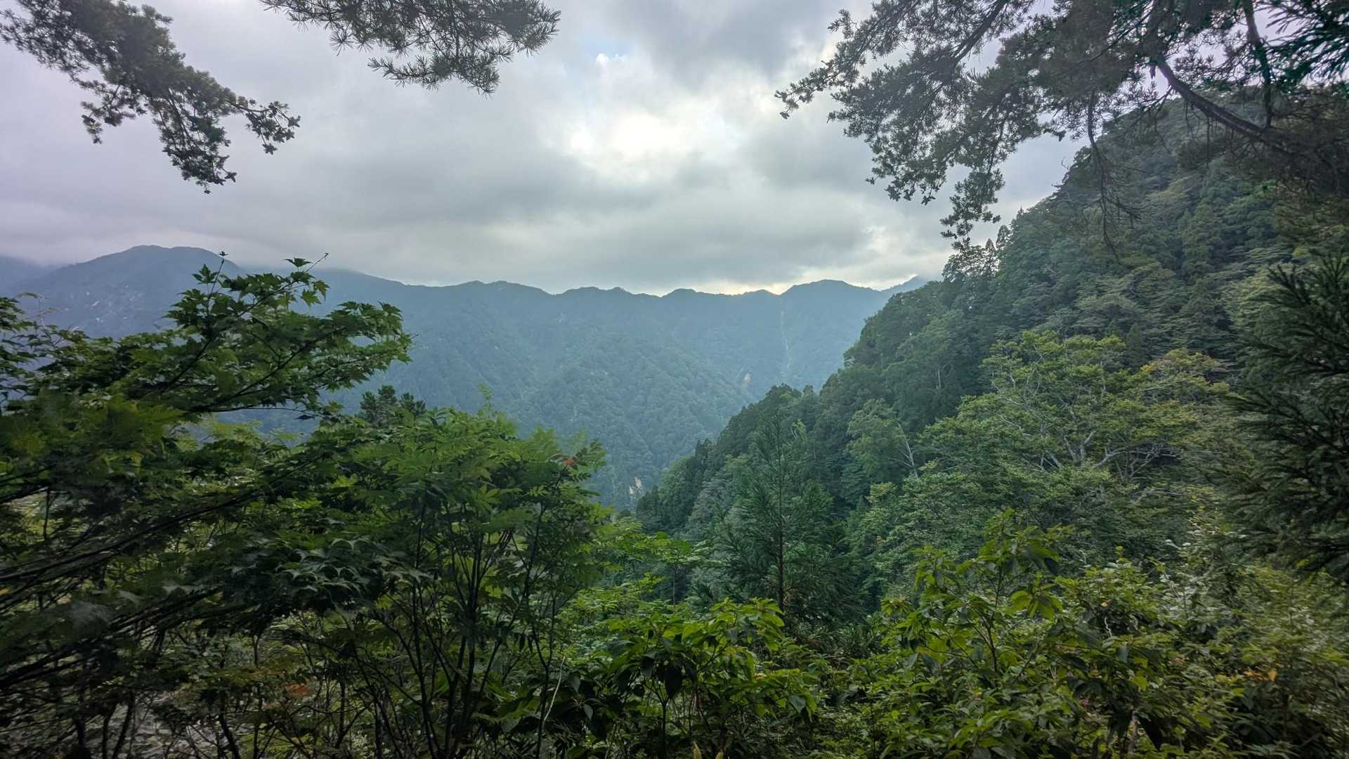 北アが見えるよ😍