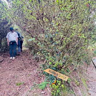 月見山から一旦下りてその先を目指します。