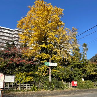 JR横須賀線の田浦駅に到着。