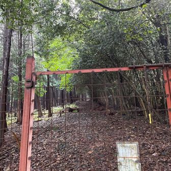 ゲートを開けて登山道に入ります⬆️