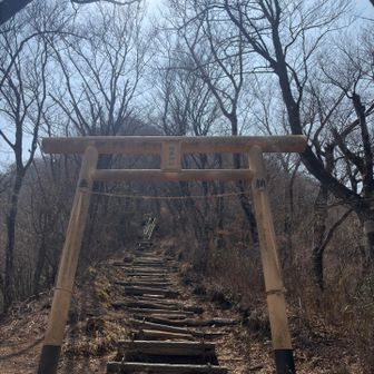 ここからの急登キツいんだよな