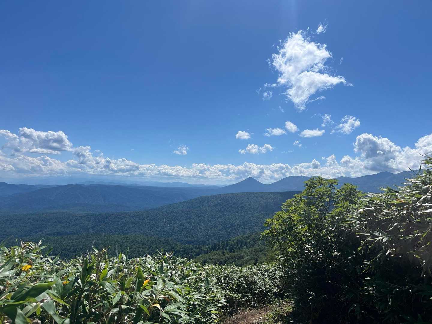 トムラウシ短縮コース登山口-前トム平-トムラウシ山 往復コースの写真