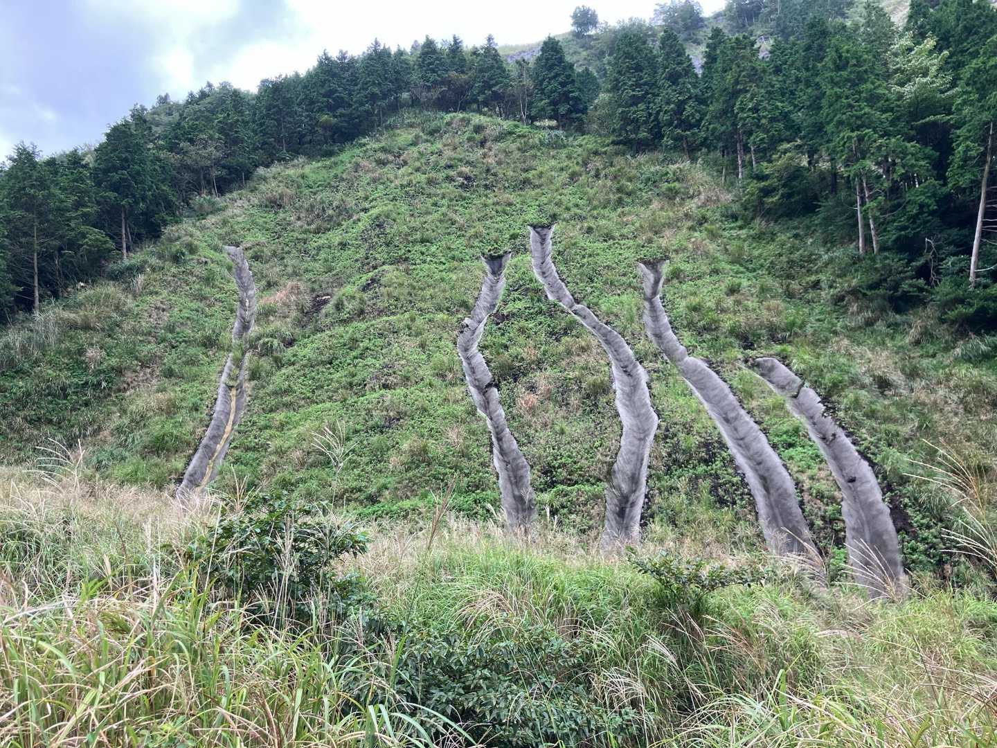 地震での地滑りの跡かな？