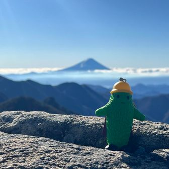 ソロの時は寂しいのでこいつを相棒として連れて行くことにした。