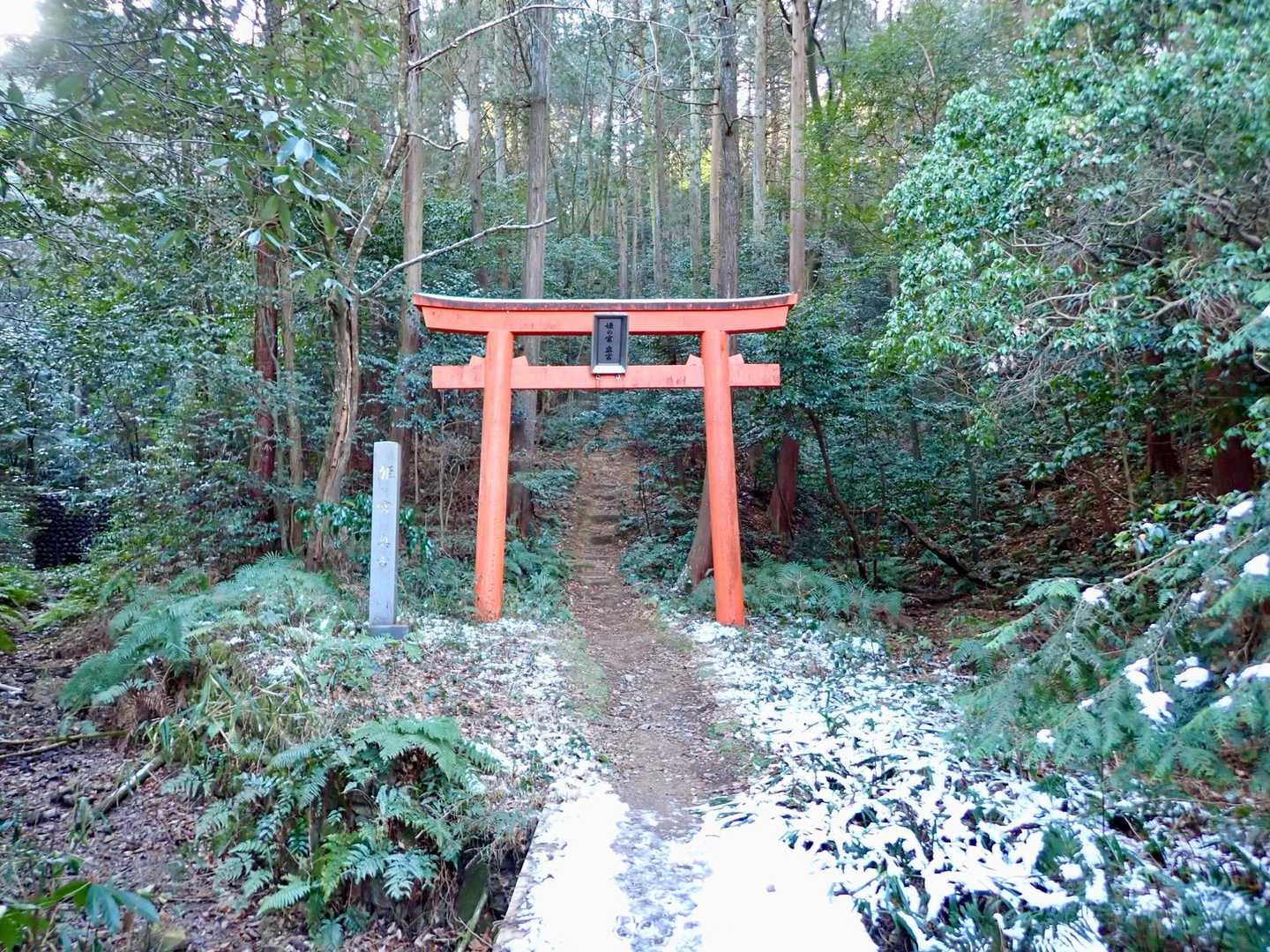 鳥居を潜って相澤山へ