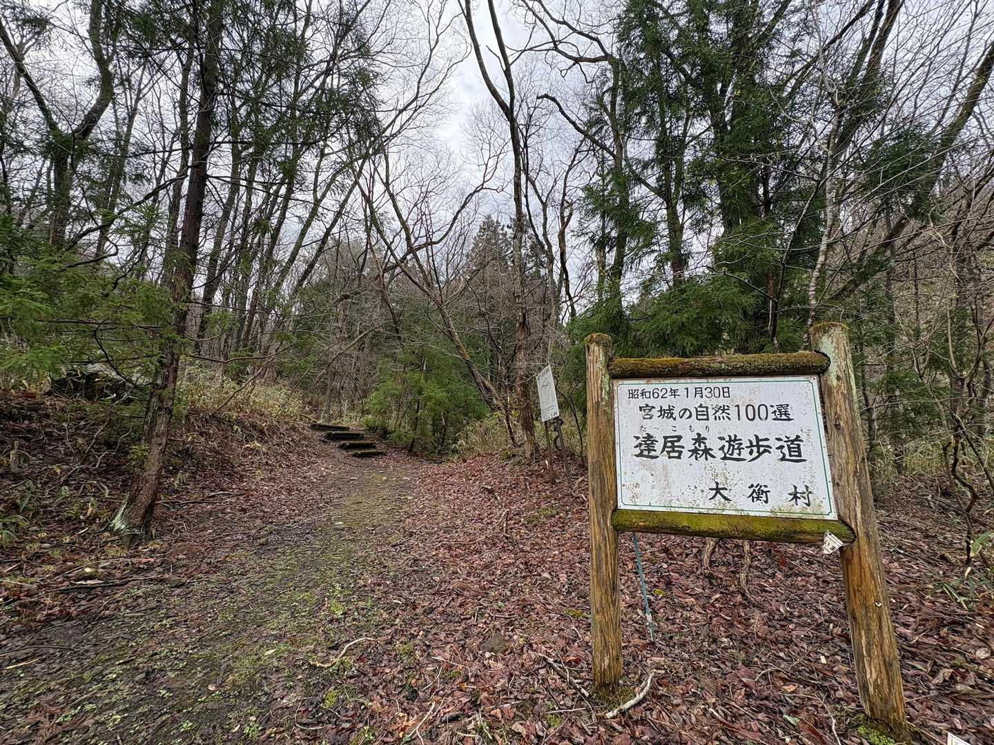 ゆっくり行きます🚶‍♀️
