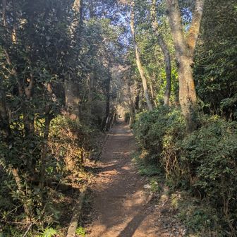 信貴山下駅からは２段階でまっすぐな道。ケーブルカーの廃線跡