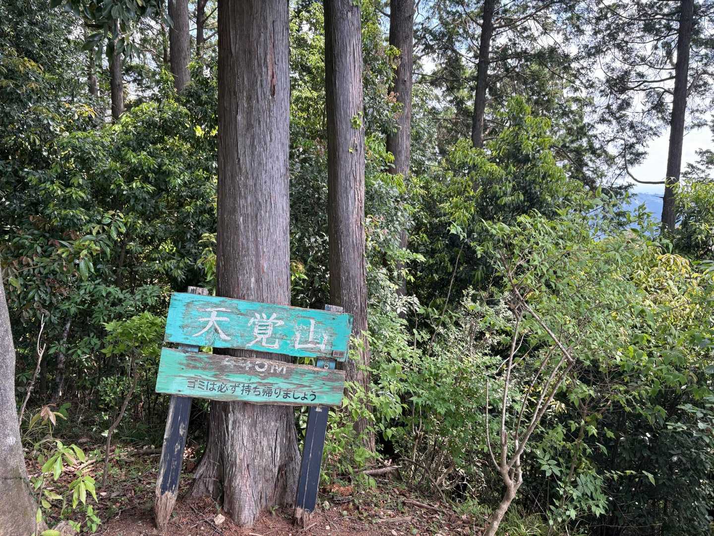吾野駅-大高山-吾野ノ頭-天覚山-東吾野駅 縦走コースの写真