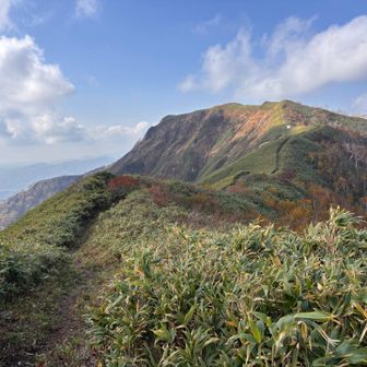 しっかりと道があってありがたやぁ〜