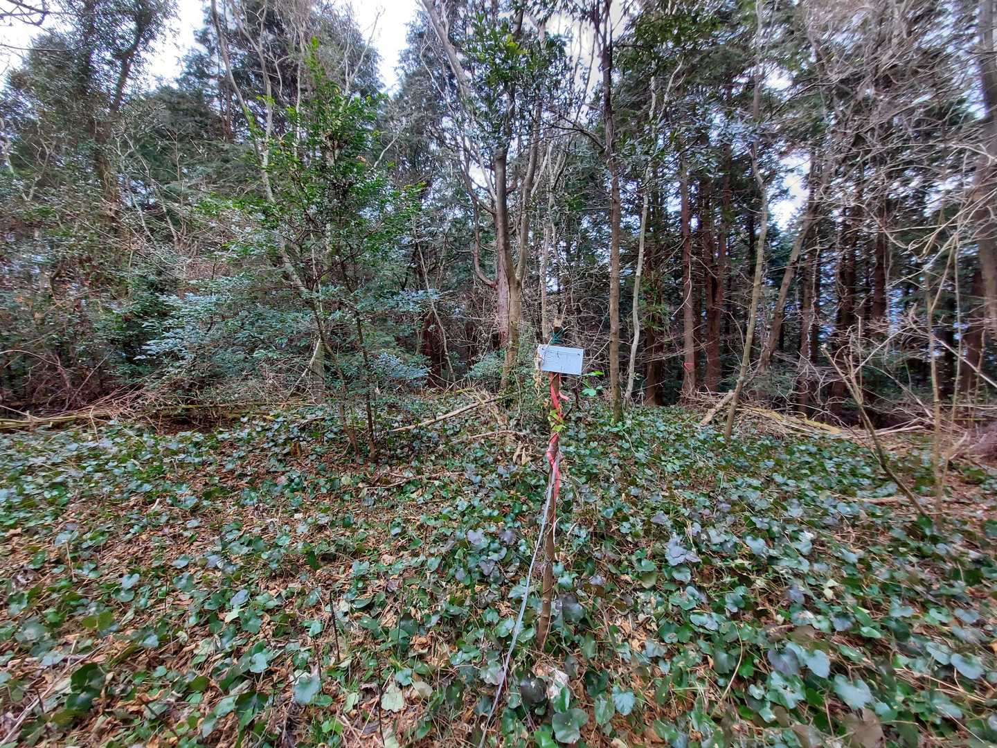 唐木山登頂