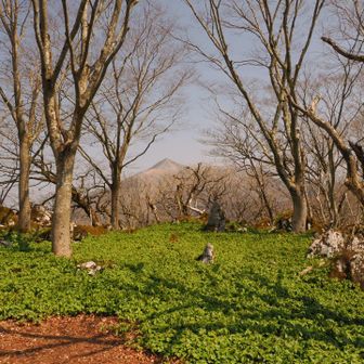 岳の畑の先へ...霊仙山?