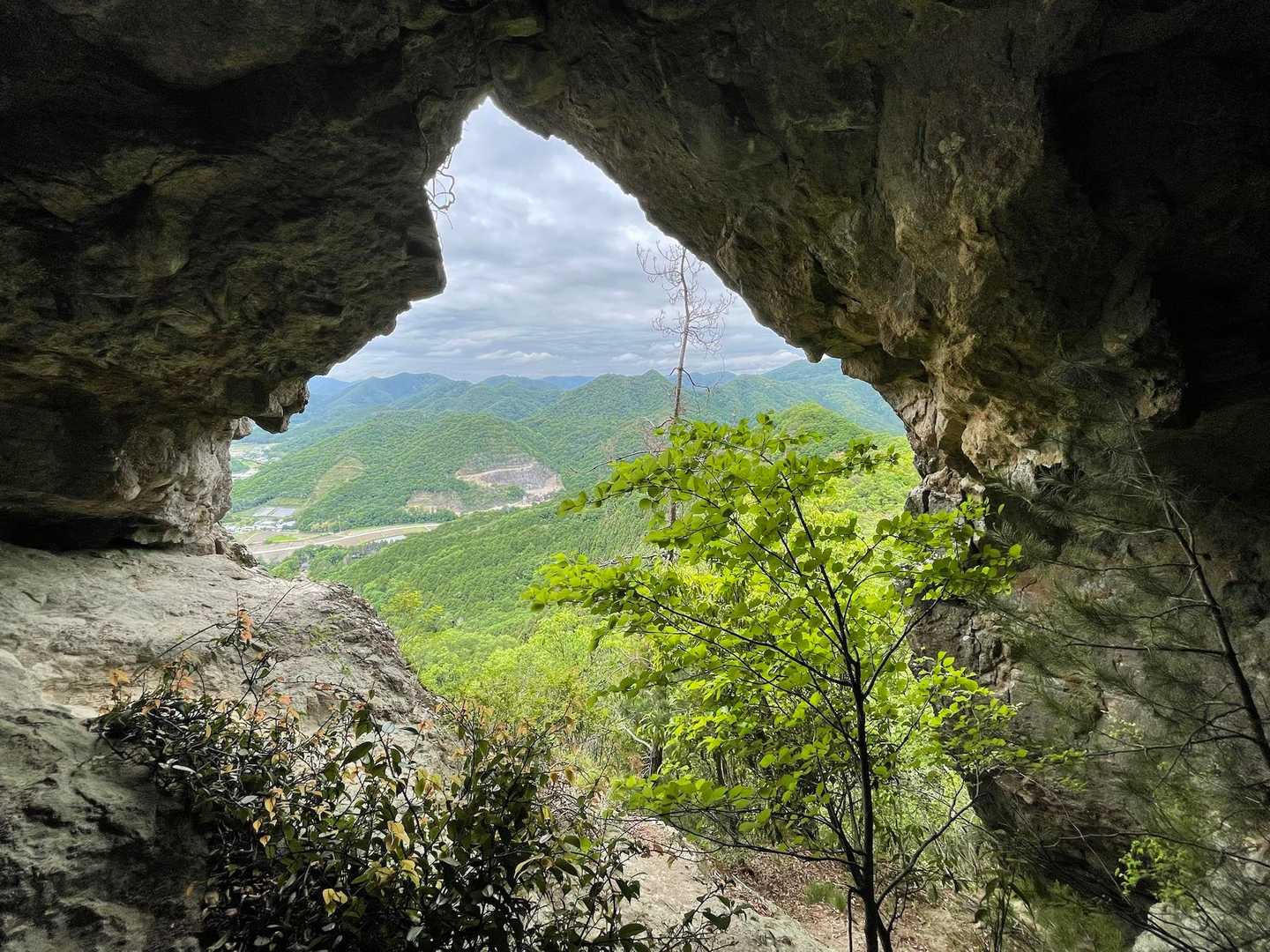 伊勢山 周回コースの写真