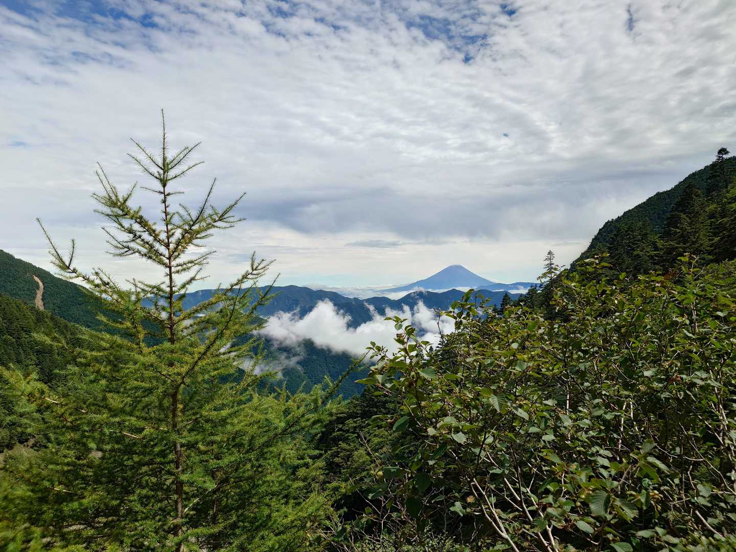 中白根山-間ノ岳-農鳥岳-農鳥岳 縦走コースの写真