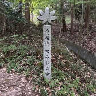 登山口より