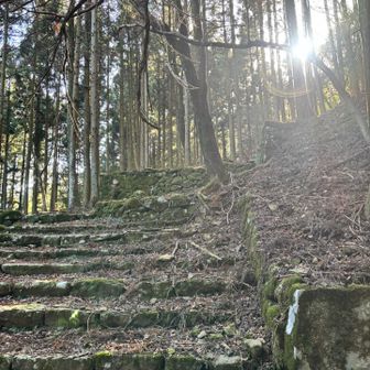 ここ なんの跡地かよくわからなかった。。