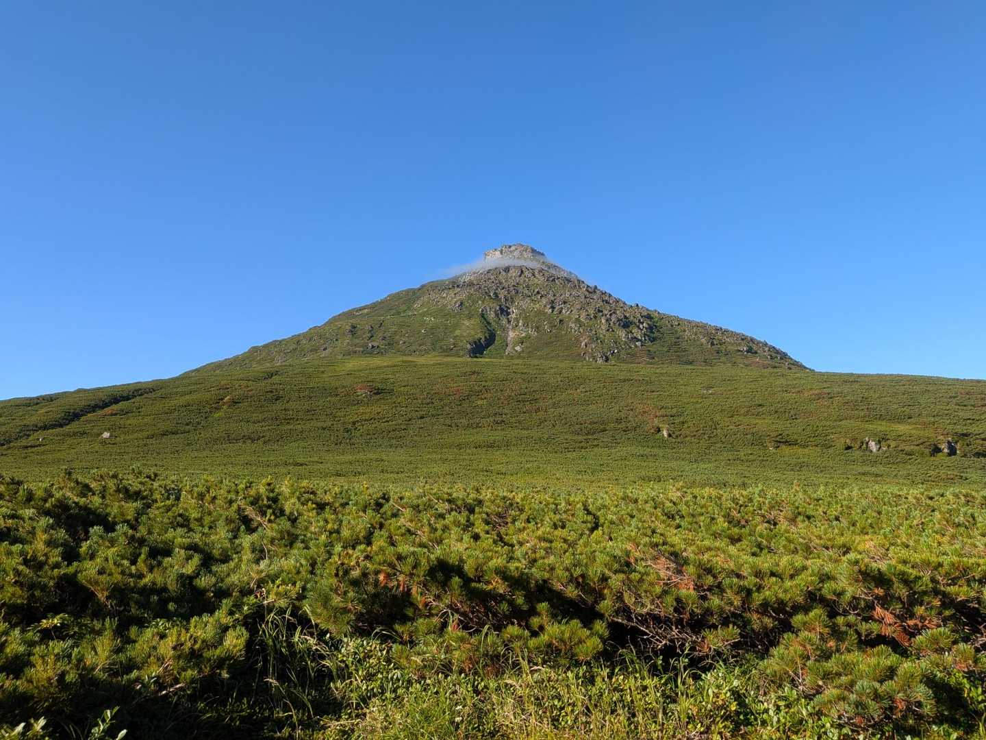きた〜ヽ(｀▽´)/
羅臼岳ドーン！！！

北海道の山はこうやってドーンと見えるので好きです☺️